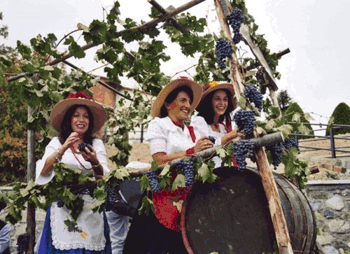 Castelnuovo Berardenga Grape Festival Village of Vagliagli